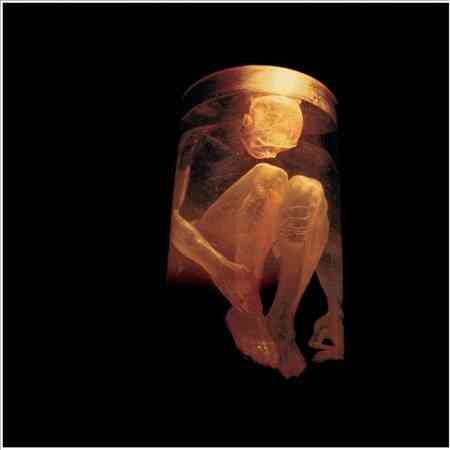 - Nothing Safe: The Best Of The Box (CD)