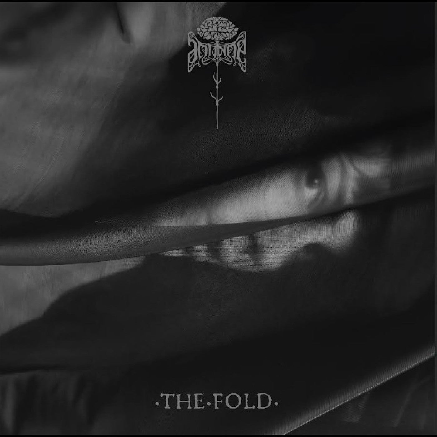 The Fold