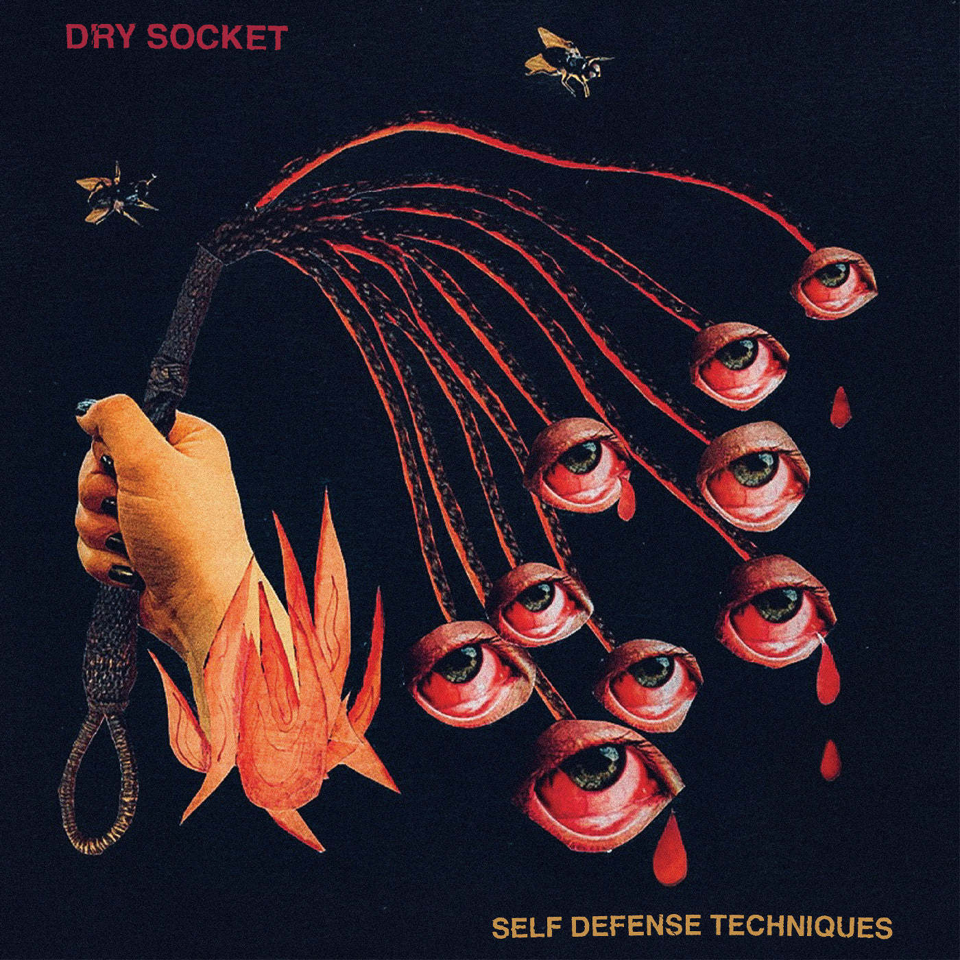 Self Defense Techniques (2-Color Galaxy Effect: T1 Ruby Transparent + Black Color Vinyl Vinyl)