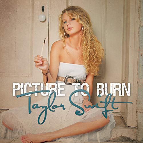 - Picture To Burn (7" Single | Smoke Gray Vinyl) Smoke Gray