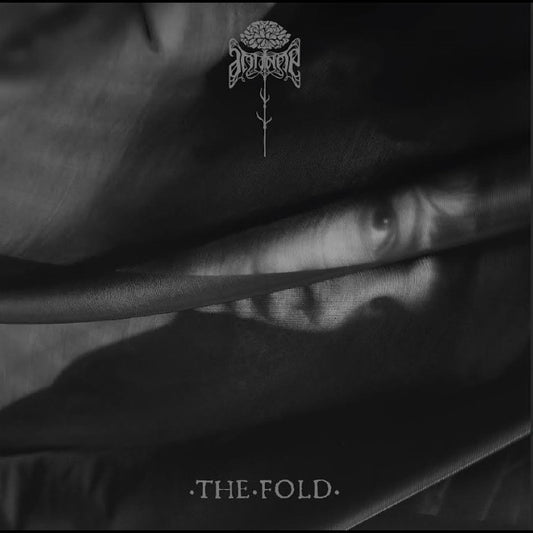 The Fold