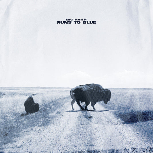 Runs To Blue (Opaque Blue Vinyl)