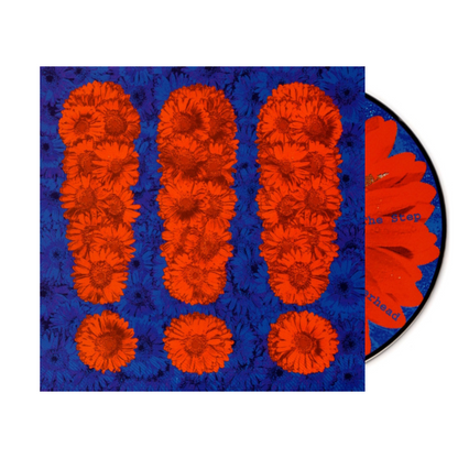 !!! (Chk Chk Chk) self-titled CD album cover