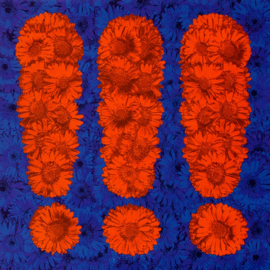 !!! (Chk Chk Chk) self-titled CD album cover