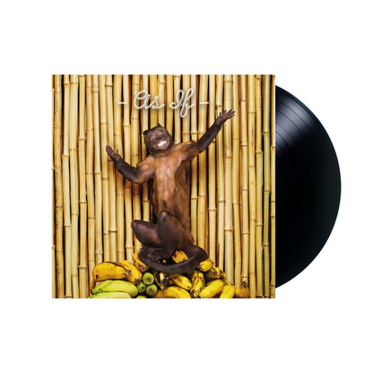 !!! (Chk Chk Chk) – As If vinyl LP album cover at Vibin’ Vinyl