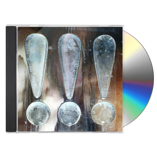 !!! (Chk Chk Chk) | Strange Weather, Isn't It? (CD)