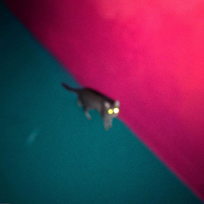 !!! (Chk Chk Chk) – Wallop CD album cover