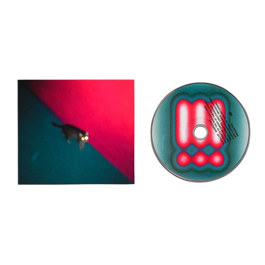 !!! (Chk Chk Chk) – Wallop CD album cover