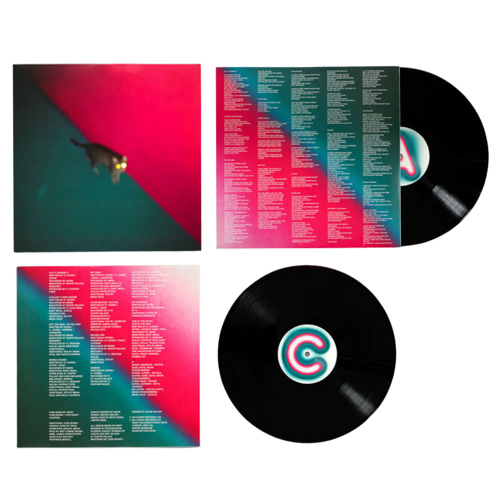 !!! (Chk Chk Chk) – Wallop standard black vinyl LP