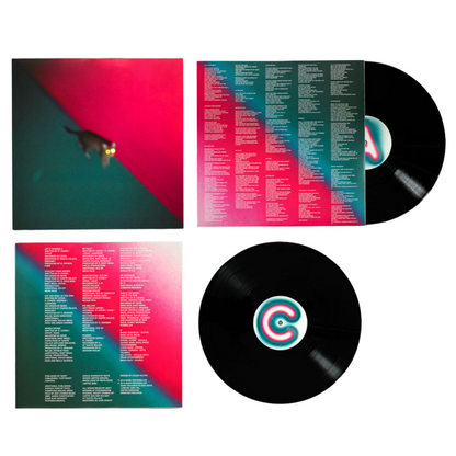 !!! (Chk Chk Chk) – Wallop standard black vinyl LP