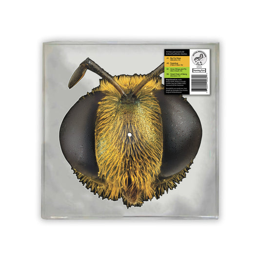 Big Fig Wasp (Bee/Bug Shaped Vinyl)