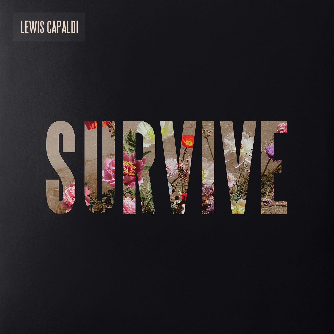 Survive [Clear 12" EP]