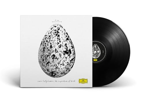 The Importance Of Birds [12" Ep]