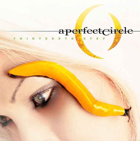 | Thirteenth Step (LP, Gatefold)