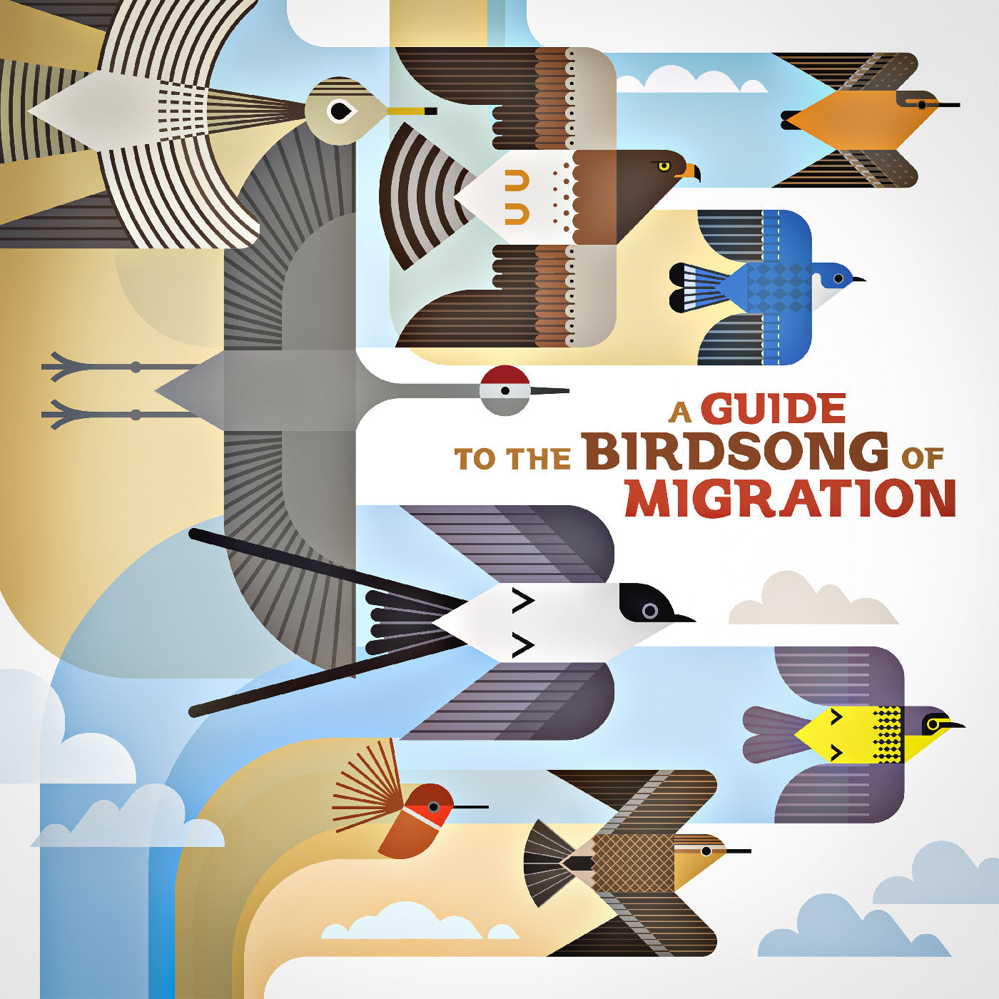 A Guide To The Birdsong Of Migration